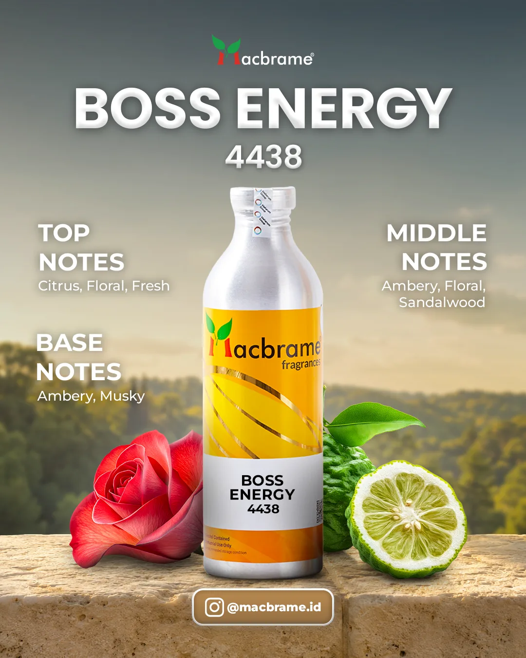 BOSS ENERGY