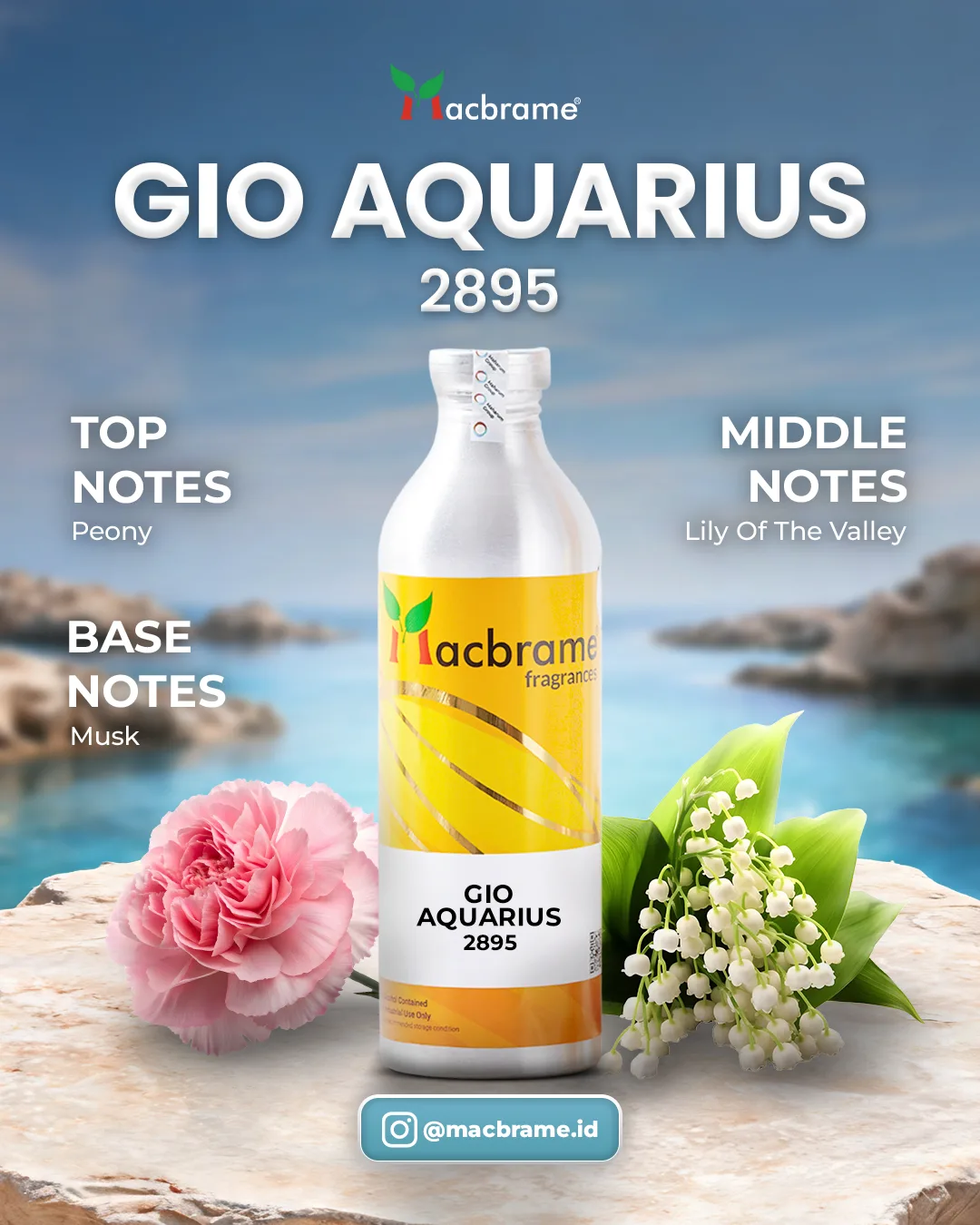 GIO AQUARIUS