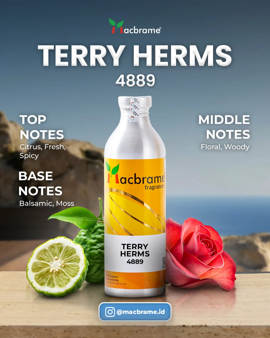TERRY HERMS