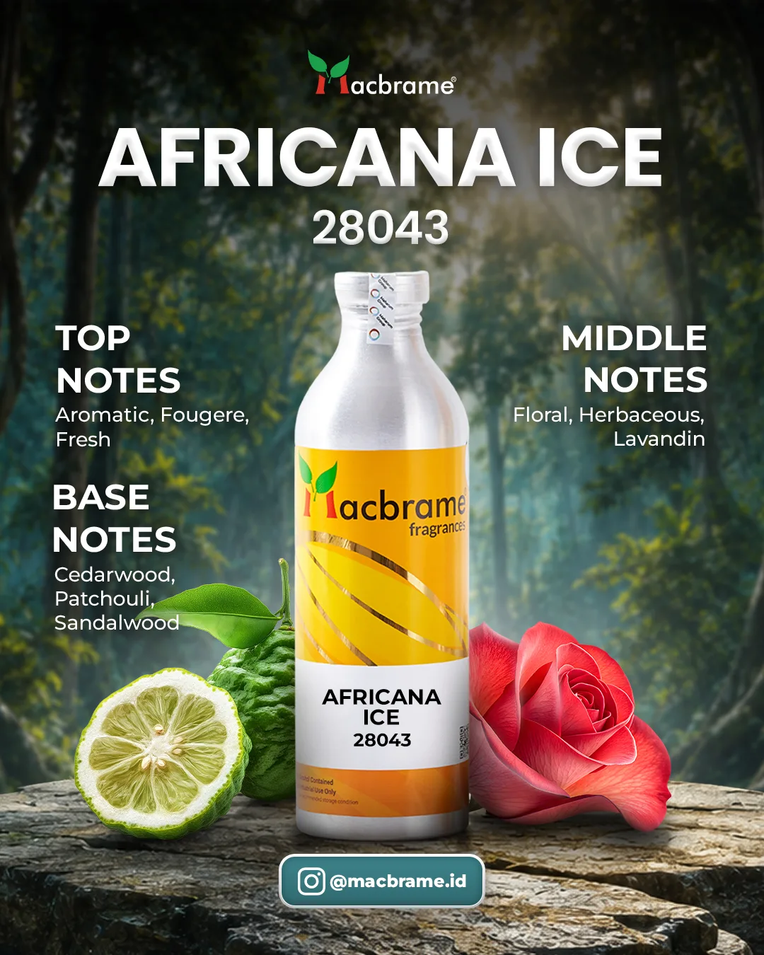 AFRICANA ICE