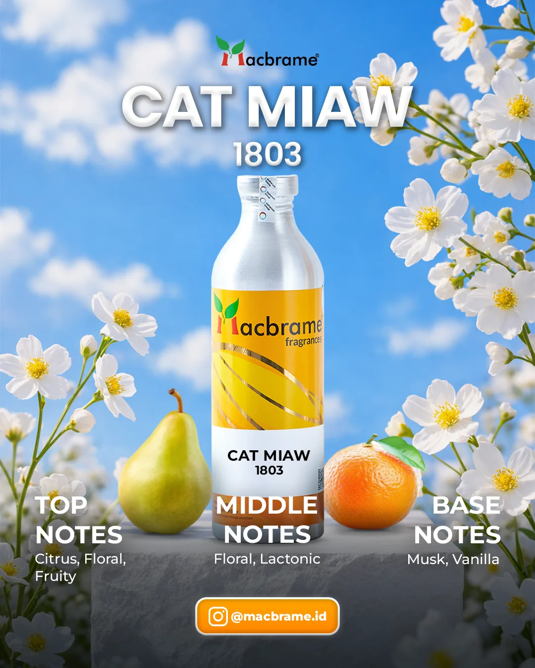 CAT MIAW
