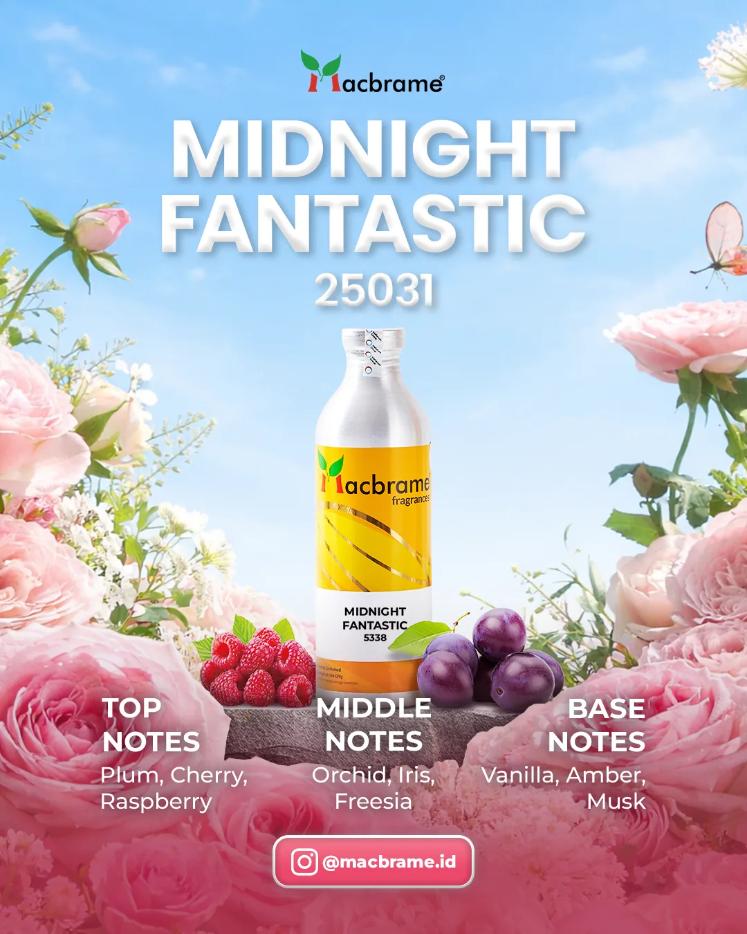 MIDNIGHT FANTASTIC
