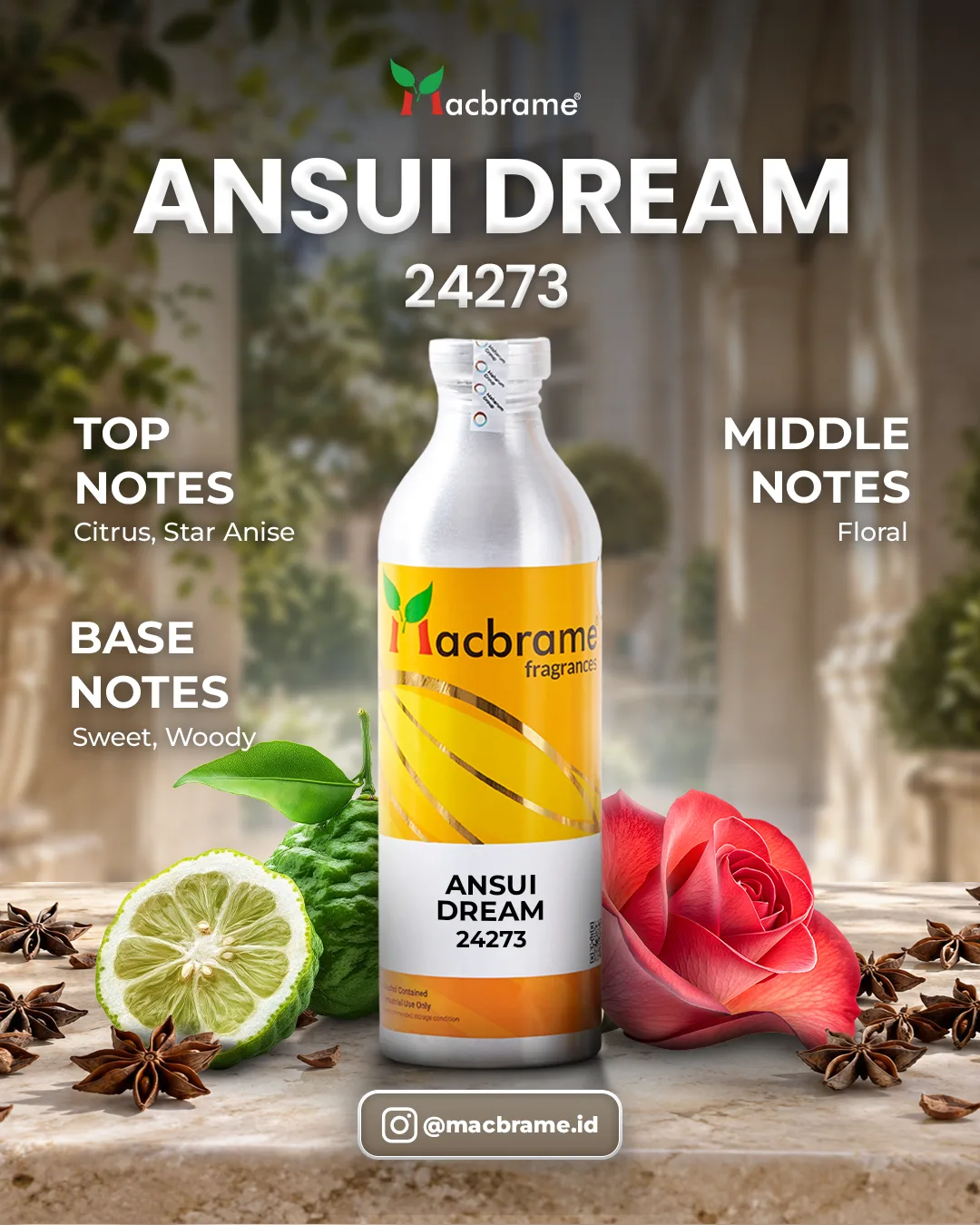 ANSUI DREAM