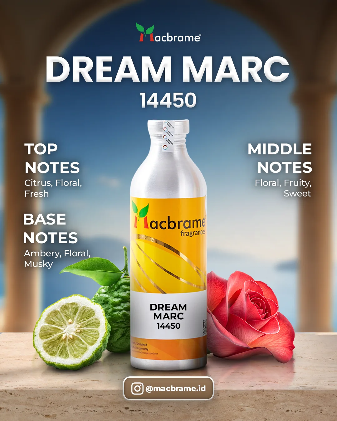 DREAM MARC