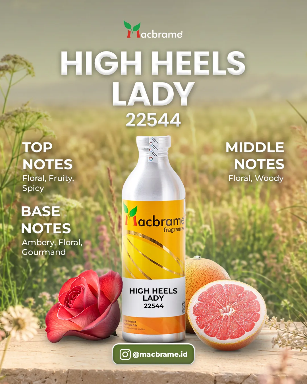 HIGH HEELS LADY