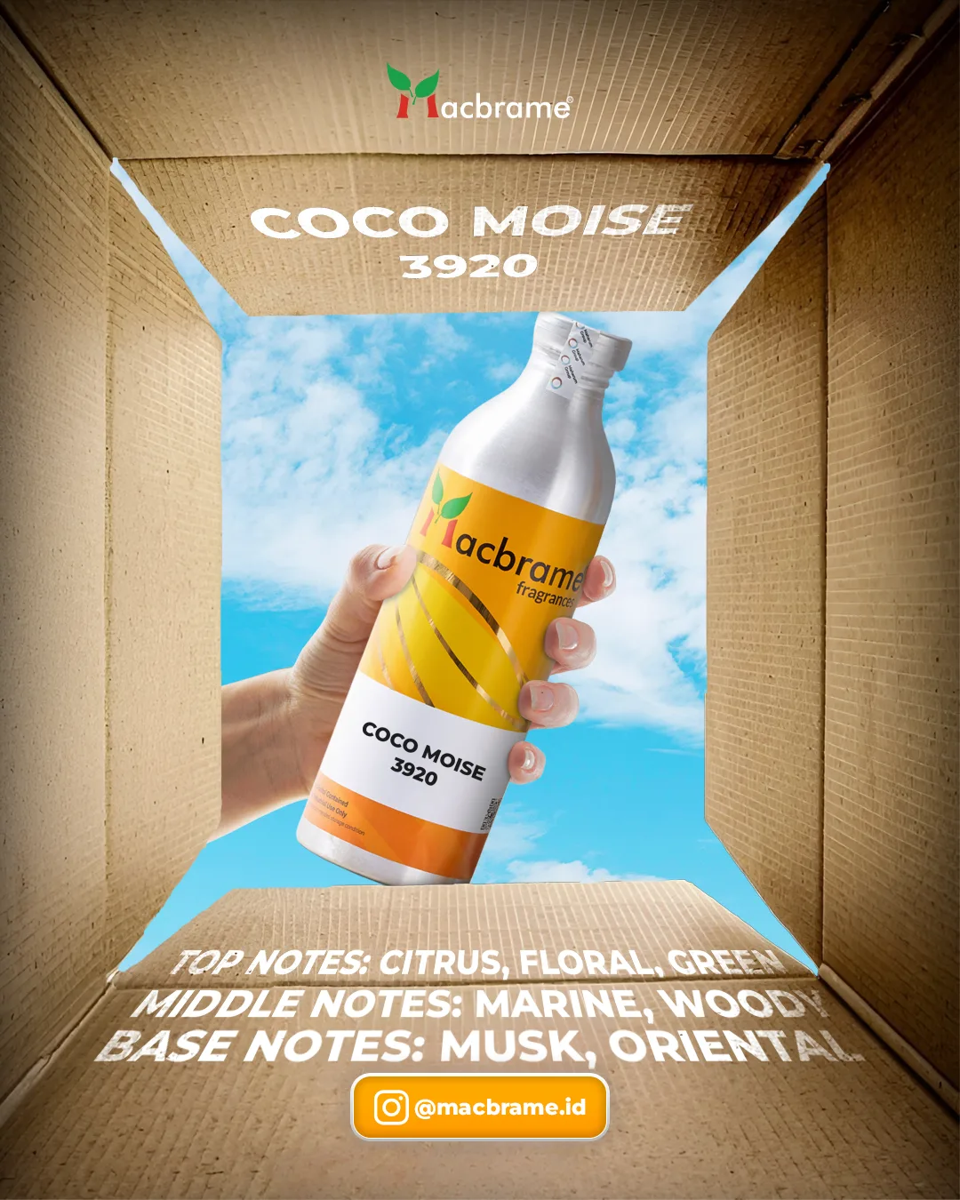 COCO MOISE