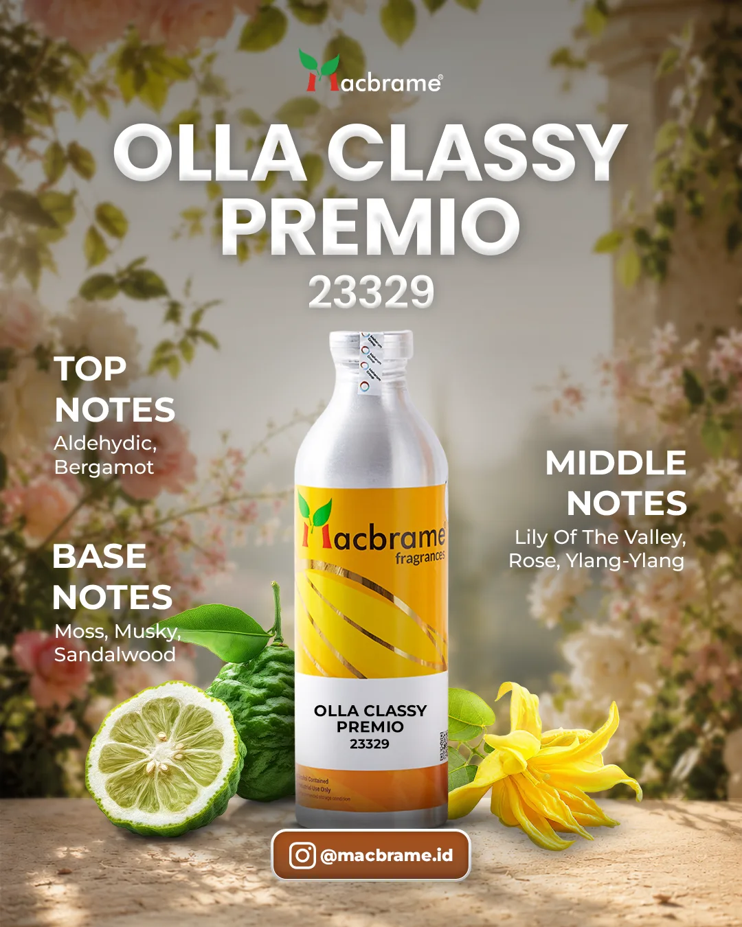 OLLA CLASSY PREMIO