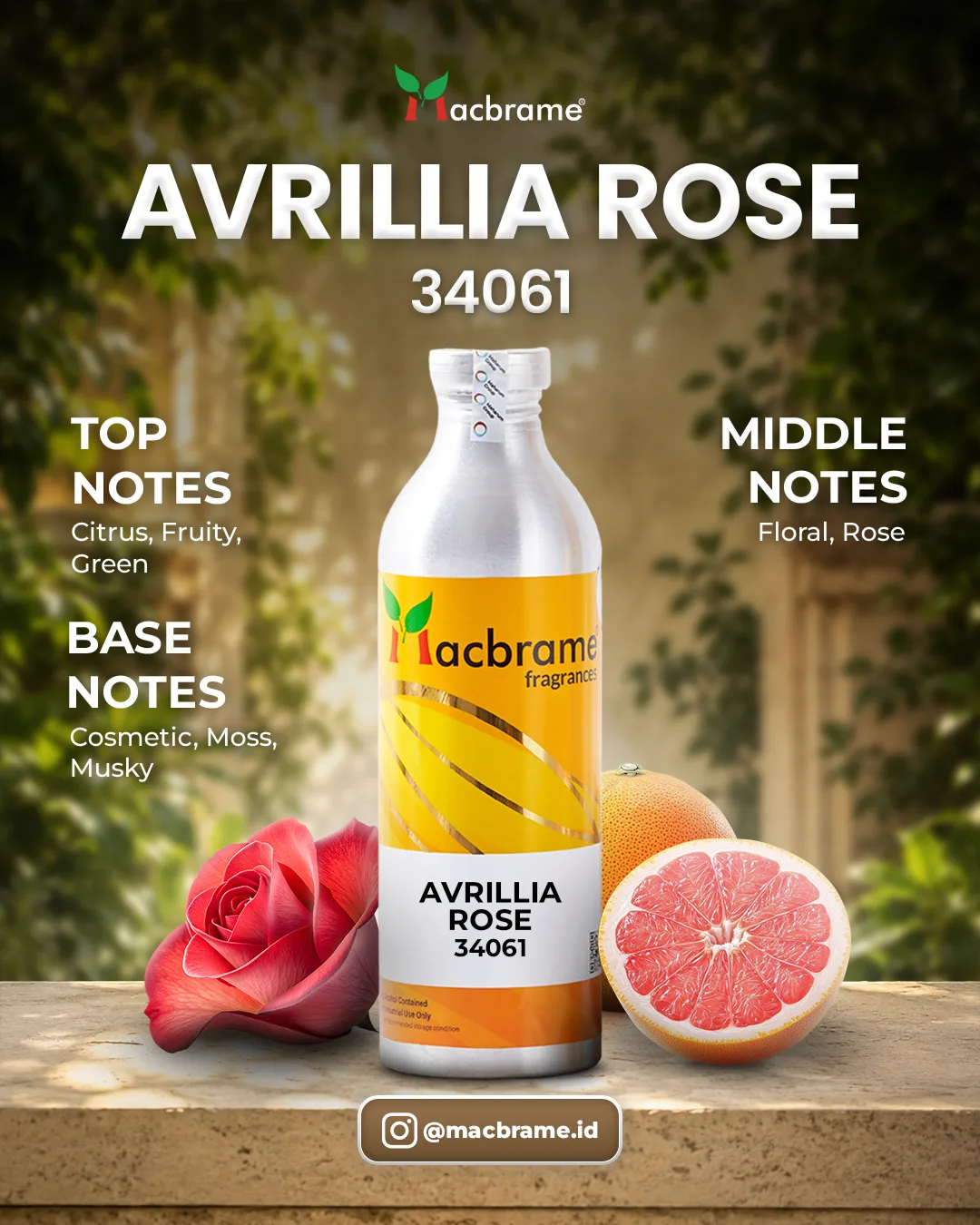 AVRILLIA ROSE