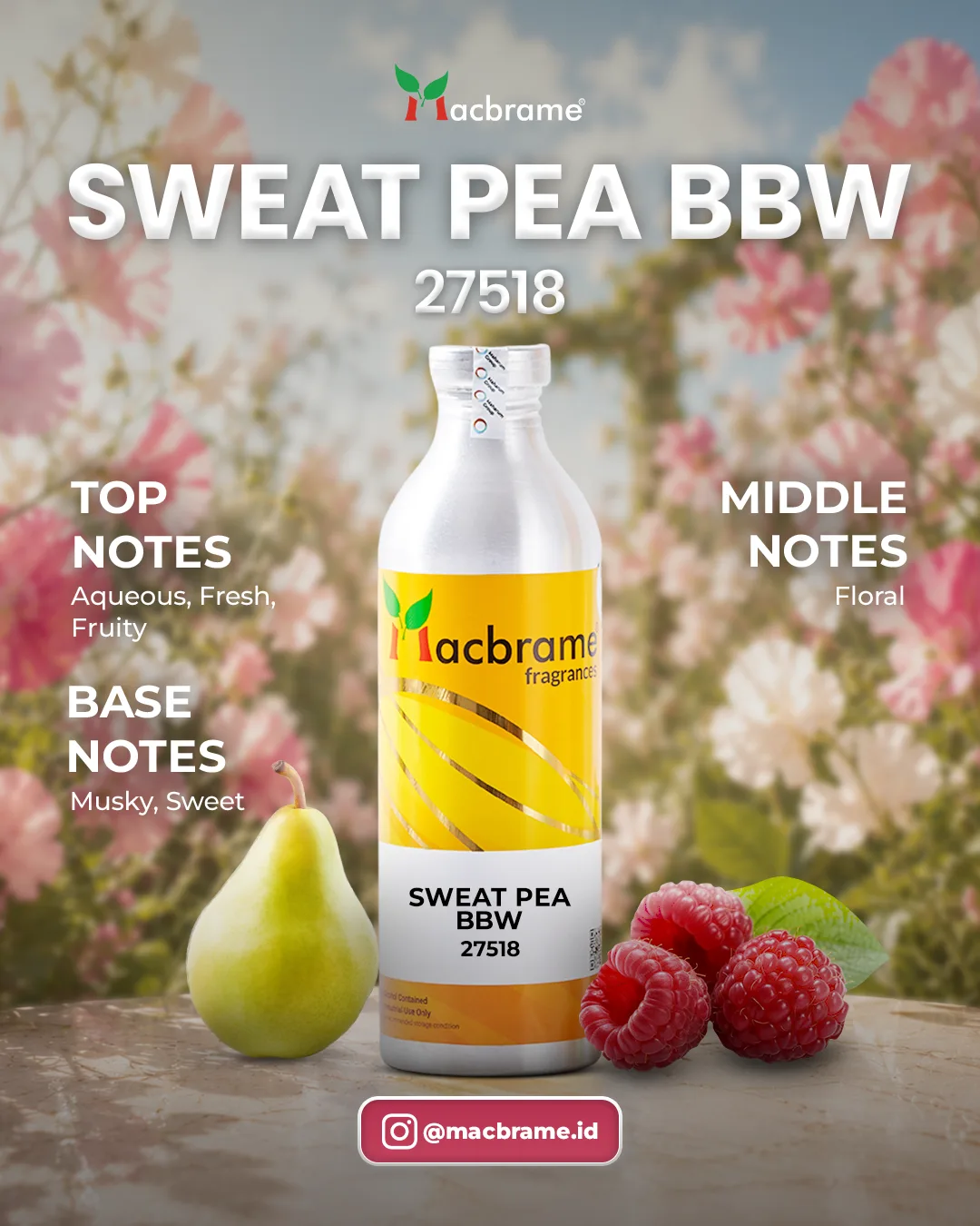 SWEAT PEA BBW