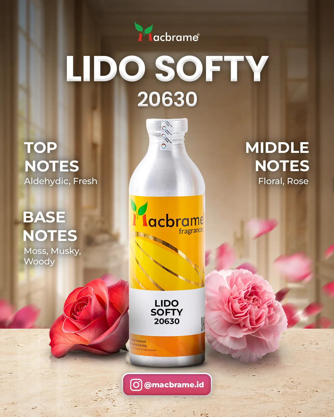 LIDO SOFTY